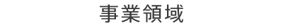 事業領域